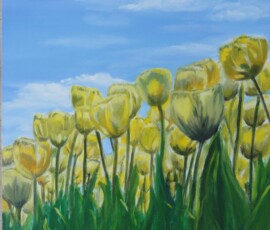 Bollenveld. 2009. Olieverf op paneel 50 x 60 cm.